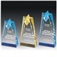 Sculpted Star Acrylic award