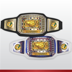 Champion Award Belt for Top Sales