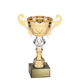 Trophy Cup Award