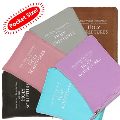 Pocket Sized Embossed Bible Cover & Protector