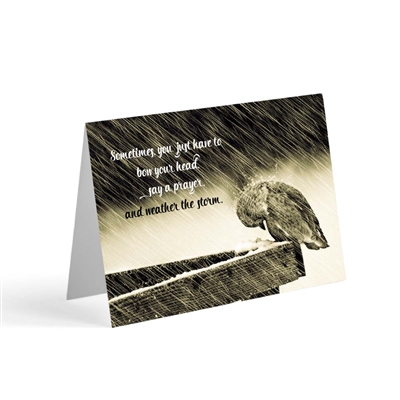 When it is difficult to come up with just the right words, our biblical greeting cards say it all. Based on Psalm 57:1
