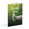 Thank you for taking care of Jehovah's Sheep - Greeting Card for Elders