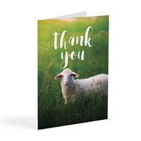 Thank you for taking care of Jehovah's Sheep - Greeting Card for Elders