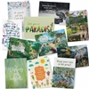 Set of Encouraging Greeting Cards | Scriptural Greeting Card Set