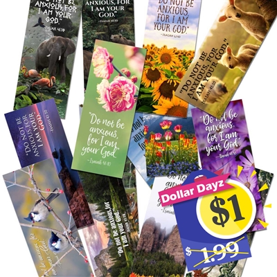 Bible Reading Schedule bookmark for 2019 Set of 8 Features the 2019 yeartext