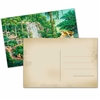 Jungle Paradise Blank Postcard for Letter Writing - Pack of 24