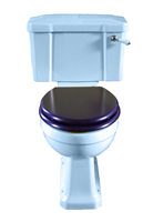 TRTC Blue Art Deco Close Coupled Toilet