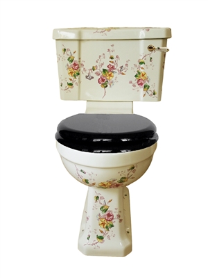 TRTC Multicoloured Floral Close Coupled Toilet