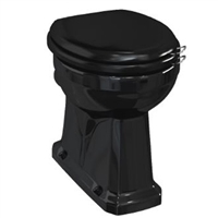 TRTC Black Low Level/High Level Toilet Pan