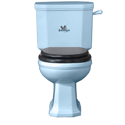TRTC Churchill Blue Close-Coupled Toilet