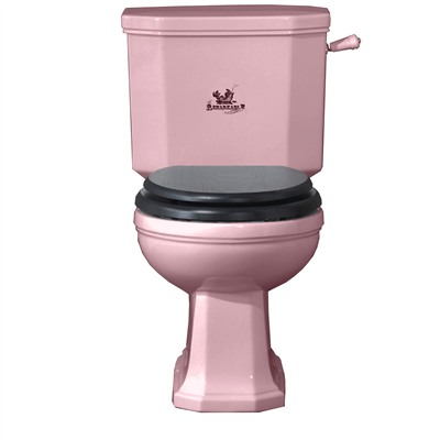 TRTC Churchill Pink Close-Coupled Toilet