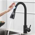 Matte Black Single Handle Hot and Cold Sensor Touch Kitchen Sink Faucet
