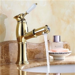 Olbia Hospitality Gold Finish Bathroom Faucet with Pull out Tube