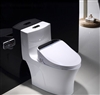 BathSelect Intelligent Toilet Seat With Temperature Display And Remote Control  In White And Black Finish