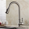 Luna Goose Neck Single Handle Kitchen Sink Faucet With Hot Cold Water Mixer & Cover Plate