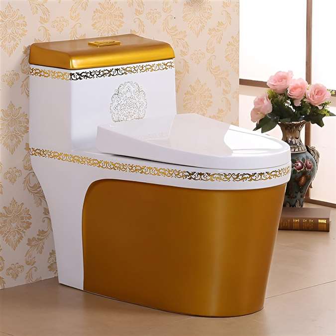 Vermont European Style Floor Mounted Lavatory in Ceramic White and Gold Finish with Gold Lining Design