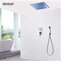 BathSelect Chrome Bravat LED Shower System With Handheld Shower