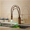 Kitchen Mixer Faucet Single Lever Swivel Spout Color Changing LED Light Brass