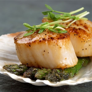 Diver Scallops