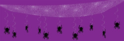 Spider Web Ceiling Decoration  (1/Pkg)