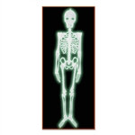 All-Weather Plastic Nite-Glo Skeleton