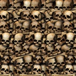 Planning to turn your house into the scariest haunted house on the block? Setting up for a night of adventure gaming?  This high quality, high resolution Catacombs Backdrop on your wall will set the perfect ambiance.