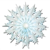 Dip-Dyed Snowflakes (2/Pkg)
