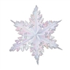 Opalescent Metallic Winter Snowflake