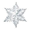 Silver Metallic Winter Snowflake