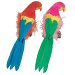 Feathered Parrot, 12 inch (1/pkg)