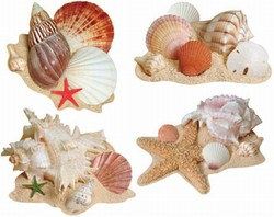 Seashell Cutouts