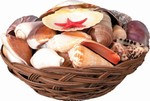 Basket of Seashells