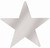 Silver Foil Star (20 inch)