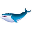 This friendly looking Blue Whale Cutout will make a HUGE statement when added to the other sea creature decorations on your wall. He's a vibrant turquoise blue color, and will look great with any of our other wonderful Under the Sea theme decorations.