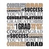 The Graduation Insta-Mural Photo Op is printed on white plastic and printed with various congratulatory phrases in black, silver, and gold. Measures 5 feet wide and 6 feet tall. A complete wall decoration. Indoor/Outdoor use. Contains one per package.