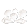 White Plastic Seashells (6/pkg)