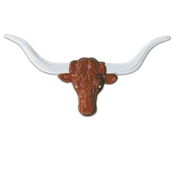 Longhorn Steer Head