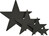 Black Foil Star (12 inch)