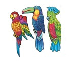 Exotic Bird Cutouts