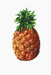 Pineapple Cutout