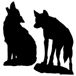 Coyote Silhouettes