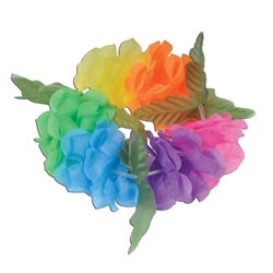 Multicolor Silk N Petals Big Island Headband