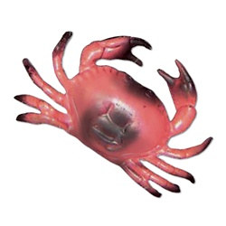 3-D Plastic Crab