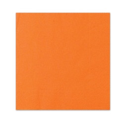 Orange Napkins (20/pkg)