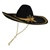 Felt Sombrero