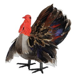 3-D Feather Turkey Decoration (1/pkg)
