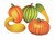 Fall Harvest Cutouts (5/Pkg)