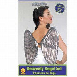 Adult Angel Accessory Kit