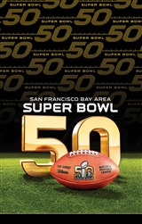 Super Bowl 50 Plastic Table Cover