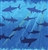 Shark Tablecover